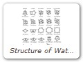 Structure of Water Clusters 