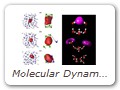 Molecular Dynamics of Excess Electrons in Aqueous Solution